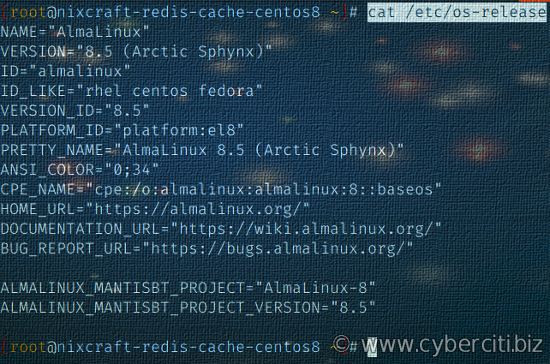 Verify the AlmaLinux version after conversion from CentOS 8 server