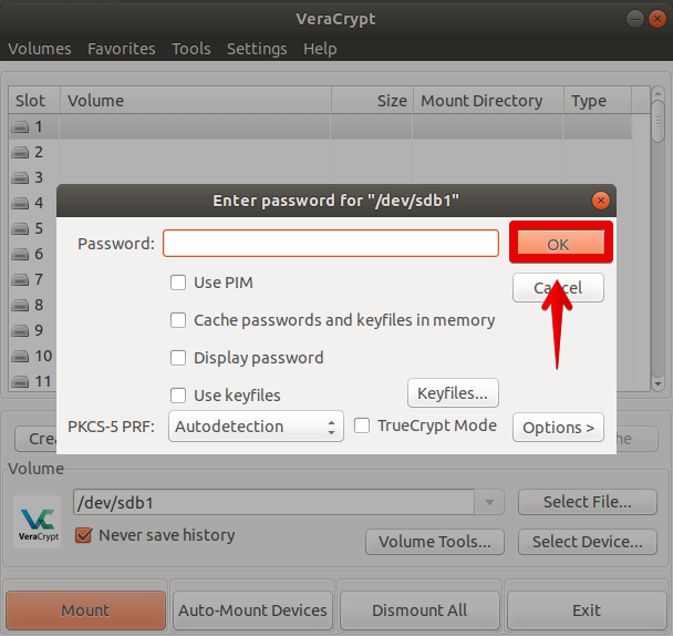 Enter  用于解密 VeraCrypt 卷的密码