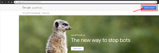 recaptcha.setup.1