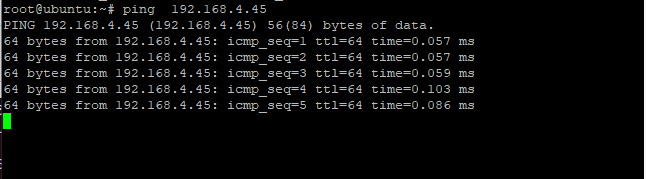 Ping 添加的 IP 地址