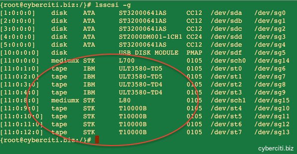 Fig.03: Installed tape devices on Linux server