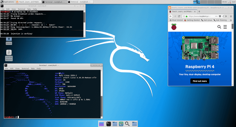 Kali Linux Pi