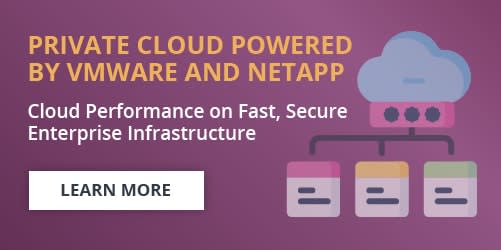 私人的 Cloud 由 VMware 和 NetApp 横幅提供支持